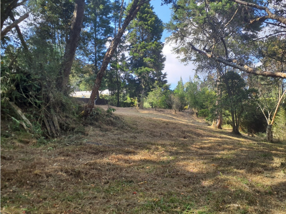 LOTE EN VENTA - GUARNE ANTIOQUIA - SECTOR PIEDRAS BLANCAS — foto 2
