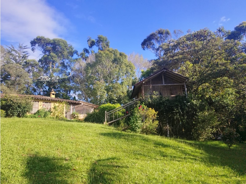 FINCA EN VENTA - EL CARMEN DE VIBORAL - AGUAS CLARAS - 5