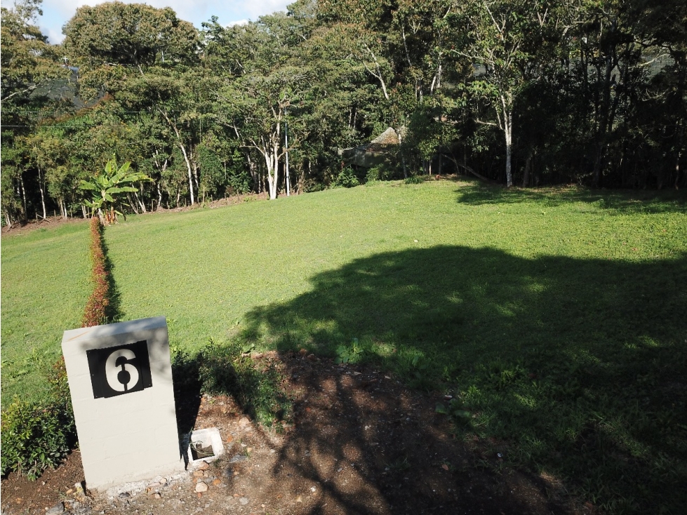 LOTES CAMPESTRES EN VENTA - AGUA VIVA - CARMEN DE VIBORAL — foto 5