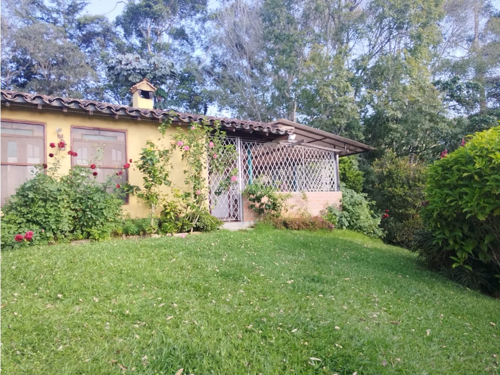 FINCA EN VENTA - EL CARMEN DE VIBORAL - AGUAS CLARAS - 4
