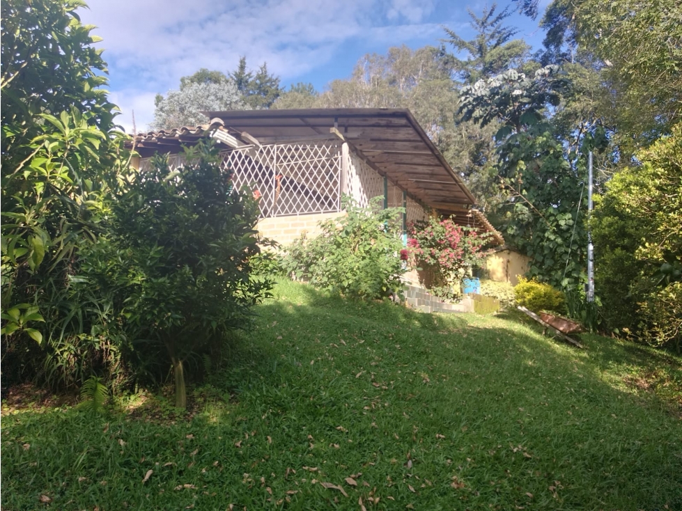 FINCA EN VENTA - EL CARMEN DE VIBORAL - AGUAS CLARAS - 6
