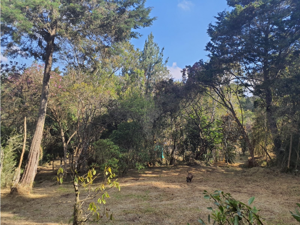 LOTE EN VENTA - GUARNE ANTIOQUIA - SECTOR PIEDRAS BLANCAS
