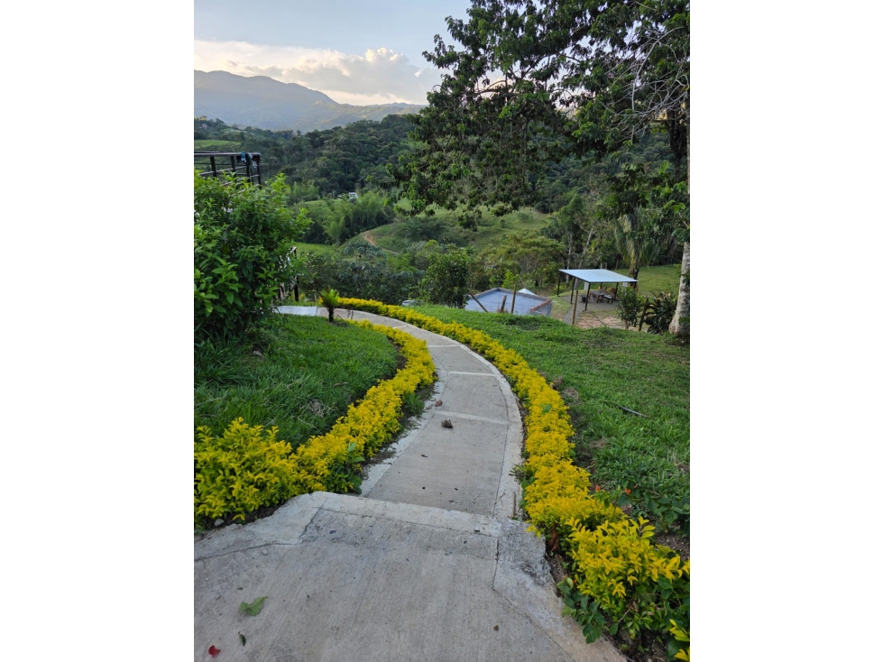 FINCA EN VENTA - LA PIÑUELA - COCORNÁ ANTIOQUIA - 3