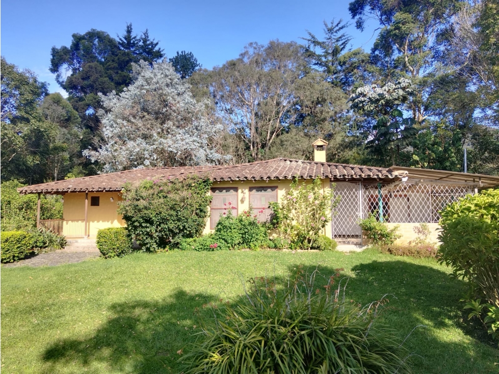 FINCA EN VENTA - EL CARMEN DE VIBORAL - AGUAS CLARAS - 2