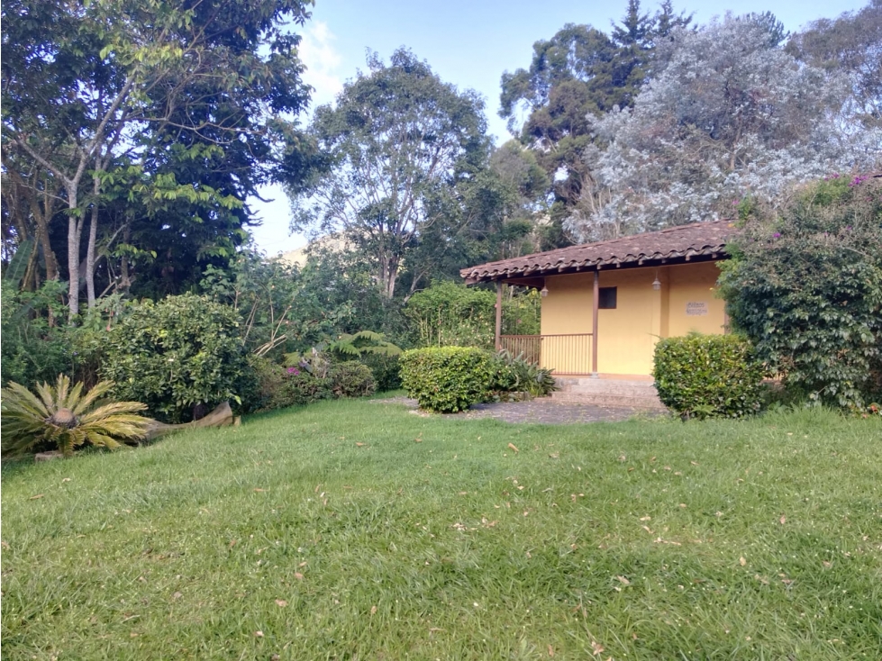 FINCA EN VENTA - EL CARMEN DE VIBORAL - AGUAS CLARAS - 3