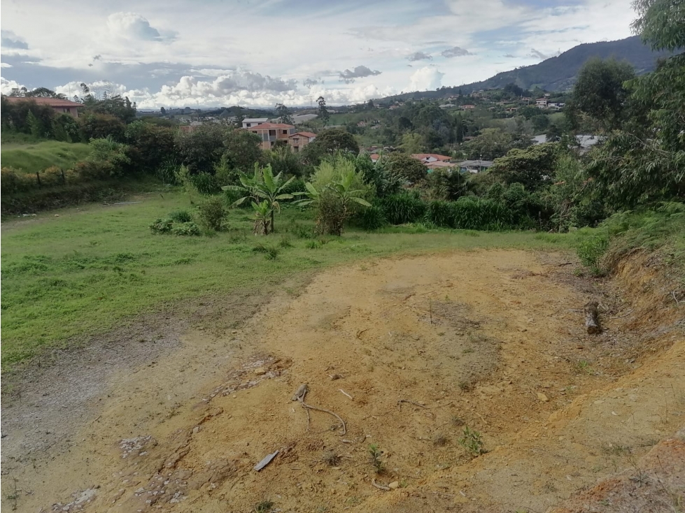 LOTE EN VENTA - EL CARMEN DE VIBORAL - SECTOR CAMPOALEGRE — foto 4