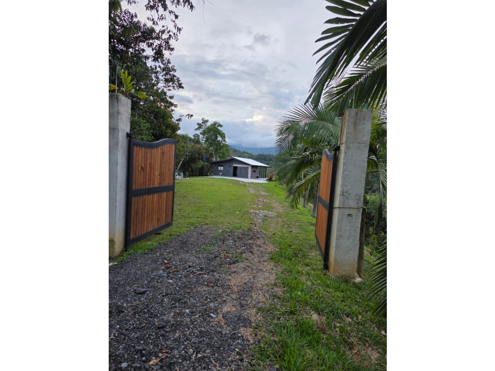 FINCA EN VENTA - LA PIÑUELA - COCORNÁ ANTIOQUIA - 4