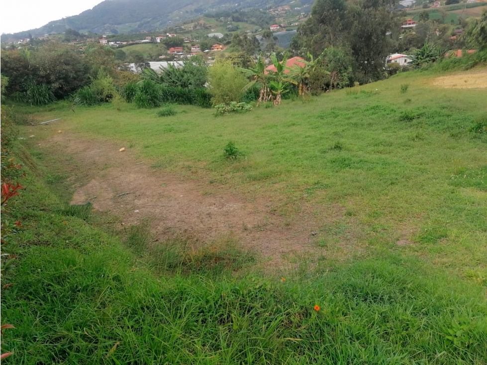 LOTE EN VENTA - EL CARMEN DE VIBORAL - SECTOR CAMPOALEGRE — foto 5