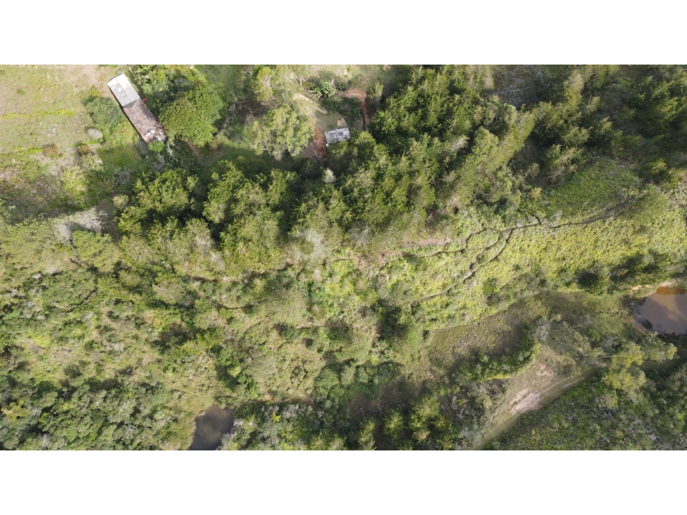 LOTE EN VENTA - RIONEGRO ANTIOQUIA - VDA BELLAVISTA — foto 4