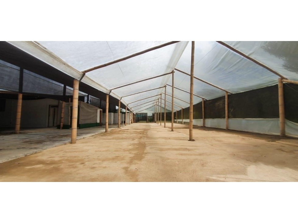 BODEGA Y LOTE COMERCIAL PARA ARRIENDO ZONA FRANCA — foto 2