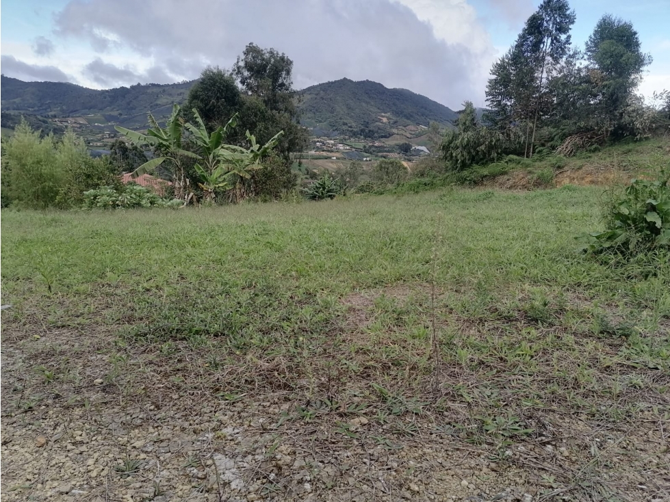 LOTE EN VENTA - EL CARMEN DE VIBORAL - SECTOR CAMPOALEGRE — foto 6