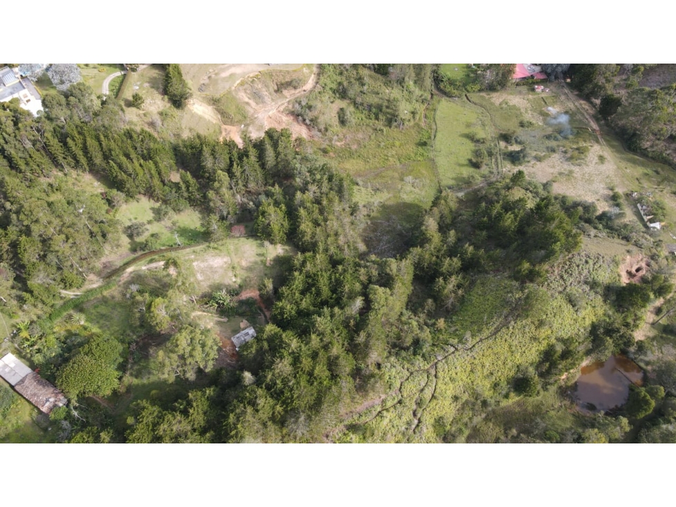 LOTE EN VENTA - RIONEGRO ANTIOQUIA - VDA BELLAVISTA — foto 5