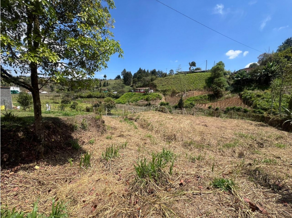 LOTE EN VENTA - GUARNE - VEREDA SAN JOSÉ - CERCA AL AEROPUERTO — foto 3