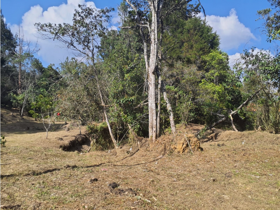 LOTE EN VENTA - GUARNE ANTIOQUIA - SECTOR PIEDRAS BLANCAS — foto 6