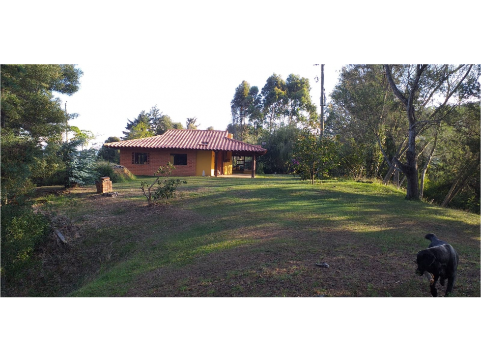 LOTE EN VENTA CERCA AL AEROPUERTO JOSE MARIA CORDOBA