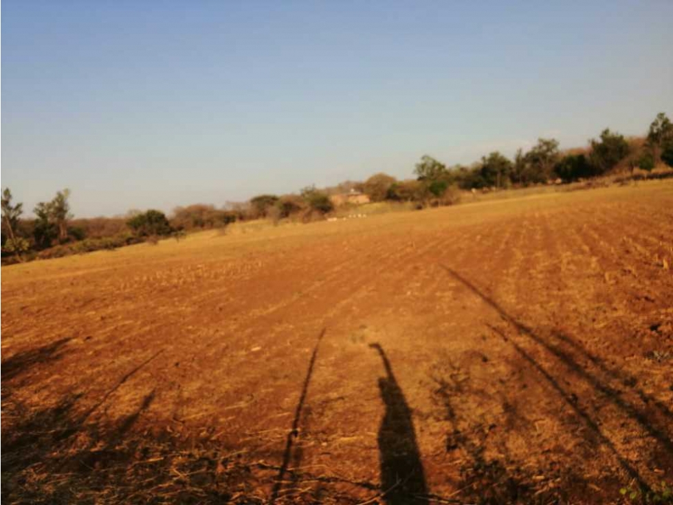 TERRENO EN VENTA 13 HECTÁREAS EN COLINAS DE TONALÁ - 5