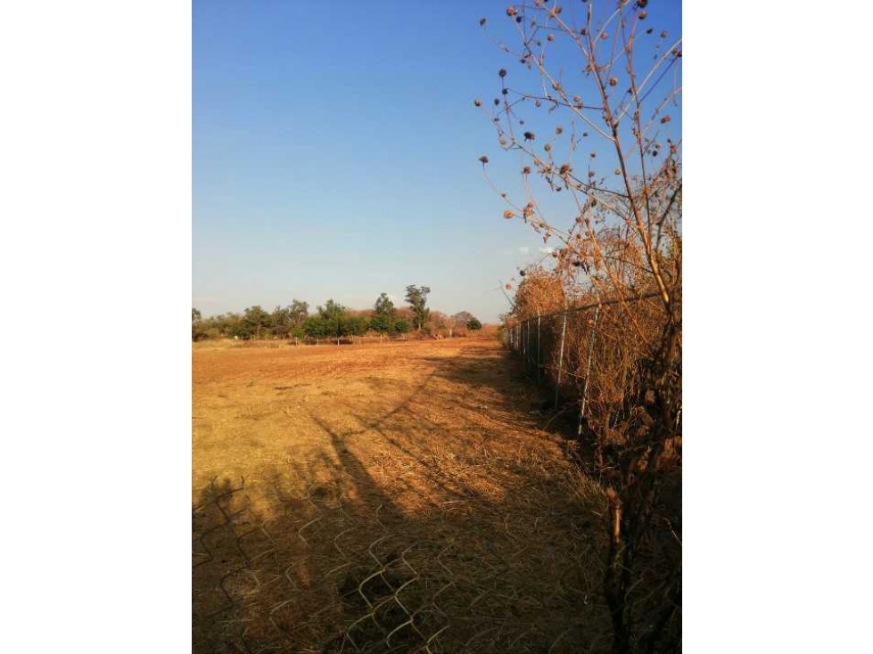 TERRENO EN VENTA 13 HECTÁREAS EN COLINAS DE TONALÁ - 6
