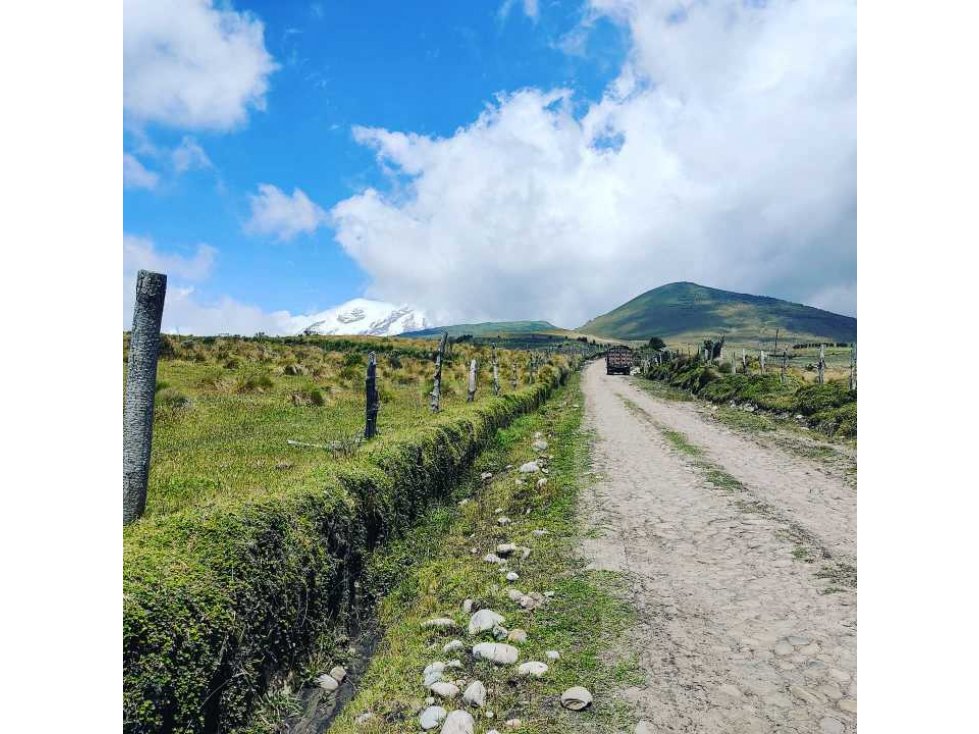 5 Hectáreas en venta Olmedo- Cayambe - 3
