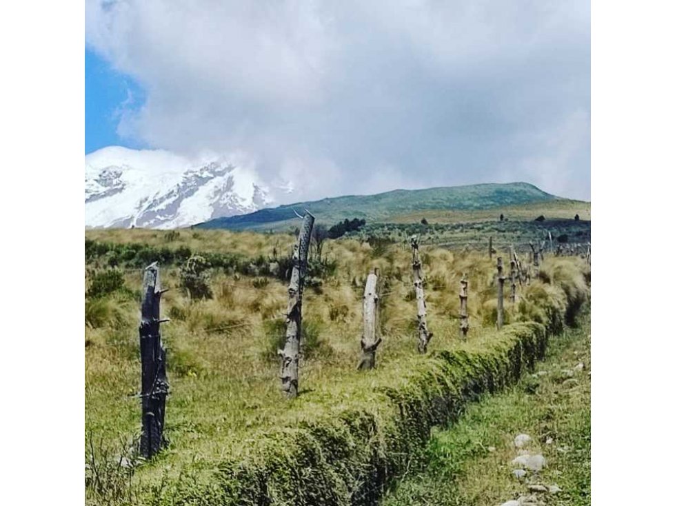 5 Hectáreas en venta Olmedo- Cayambe - 4