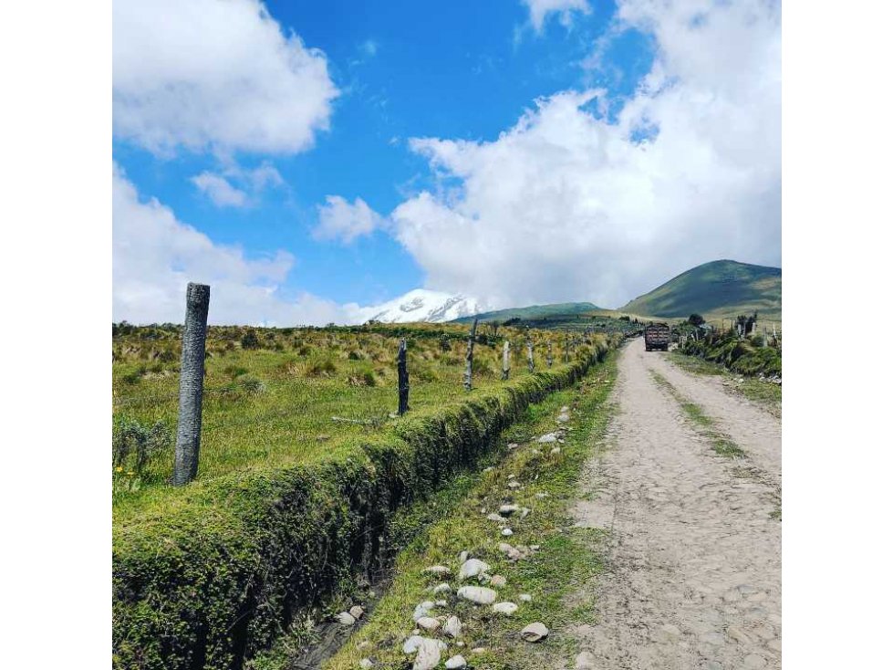 5 Hectáreas en venta Olmedo- Cayambe - 5