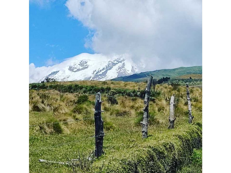 5 Hectáreas en venta Olmedo- Cayambe - 6