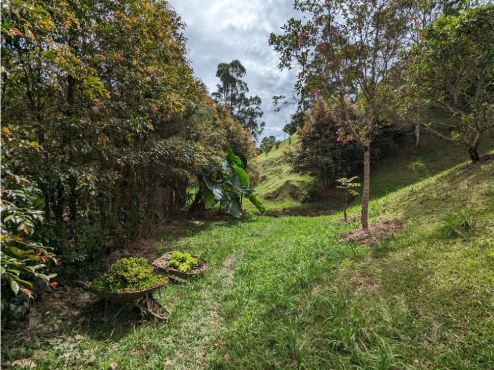 Venta lote en parcelación cerrada. Rionegro, Oriente Ant. - 6