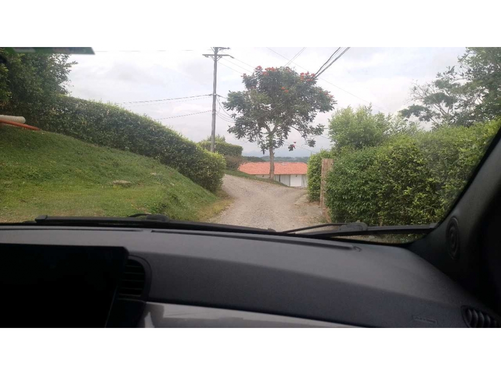 $125.000.000 COP? ¡Lote Campestre en Venta Vereda Palermo, Neira - 3