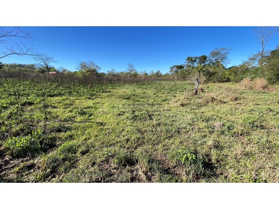 12.8ha/31Acre 1h 30min from Asunción near Mennonite Hospital Land - 2