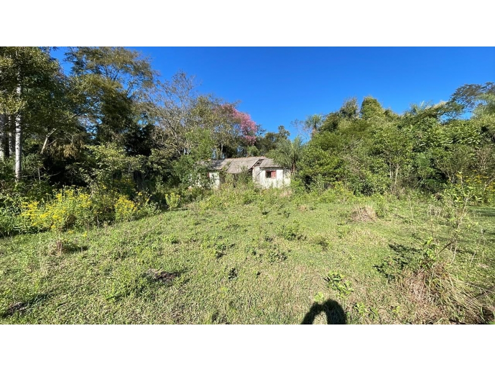 12.8ha/31Acre 1h 30min from Asunción near Mennonite Hospital Land - 4