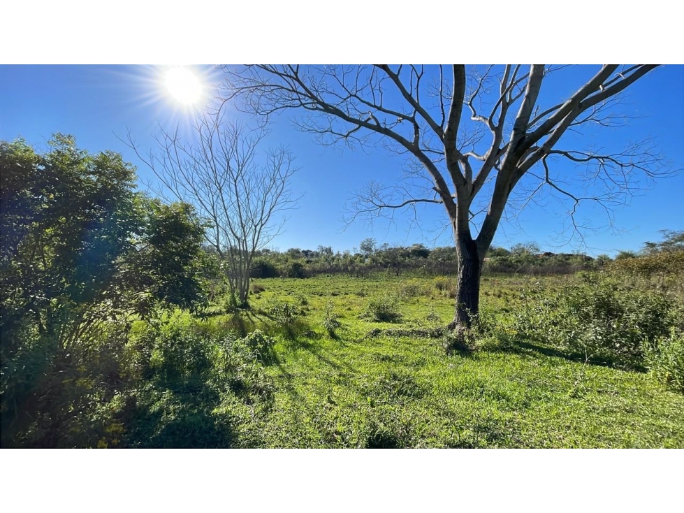 12.8ha/31Acre 1h 30min from Asunción near Mennonite Hospital Land - 5