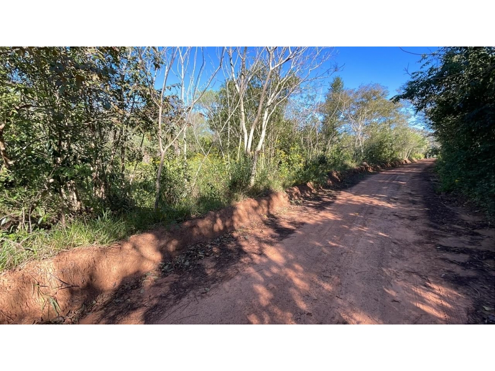 12.8ha/31Acre 1h 30min from Asunción near Mennonite Hospital Land - 6