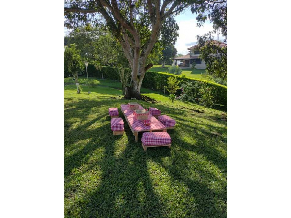 1905009 Vendo Finca Sector Morelia — foto 5