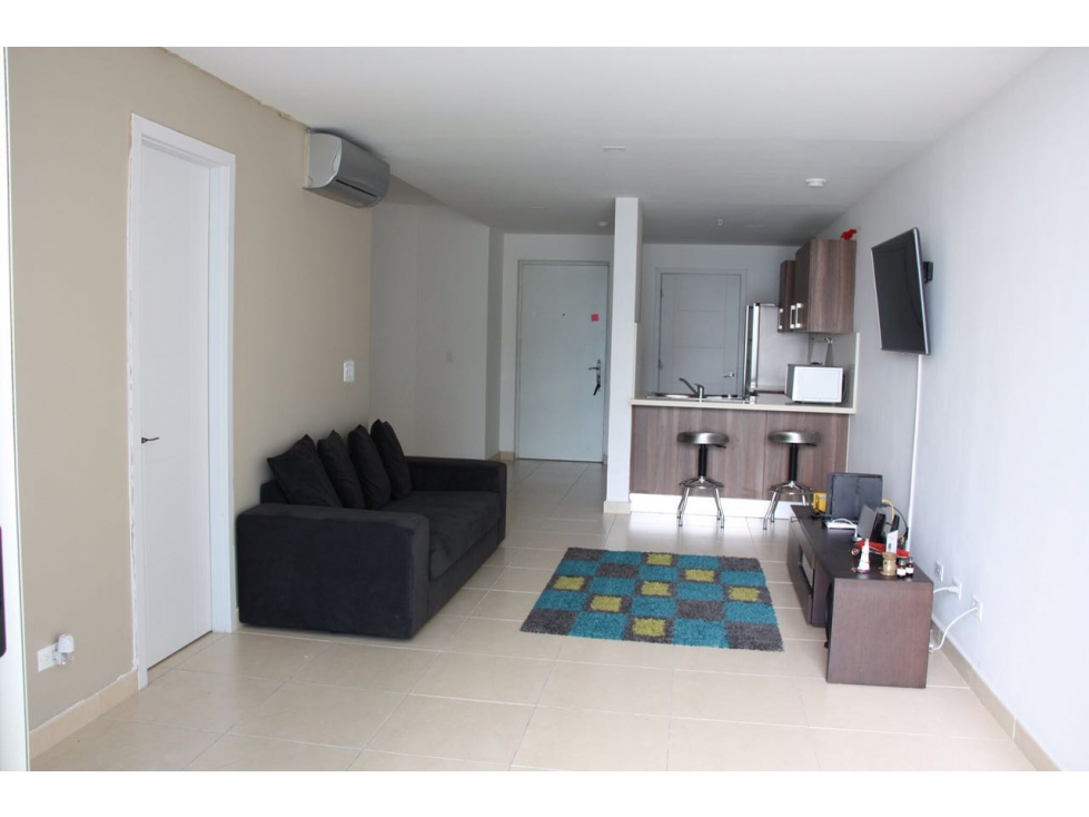 1-Bedroom Apartment in Costa Sur