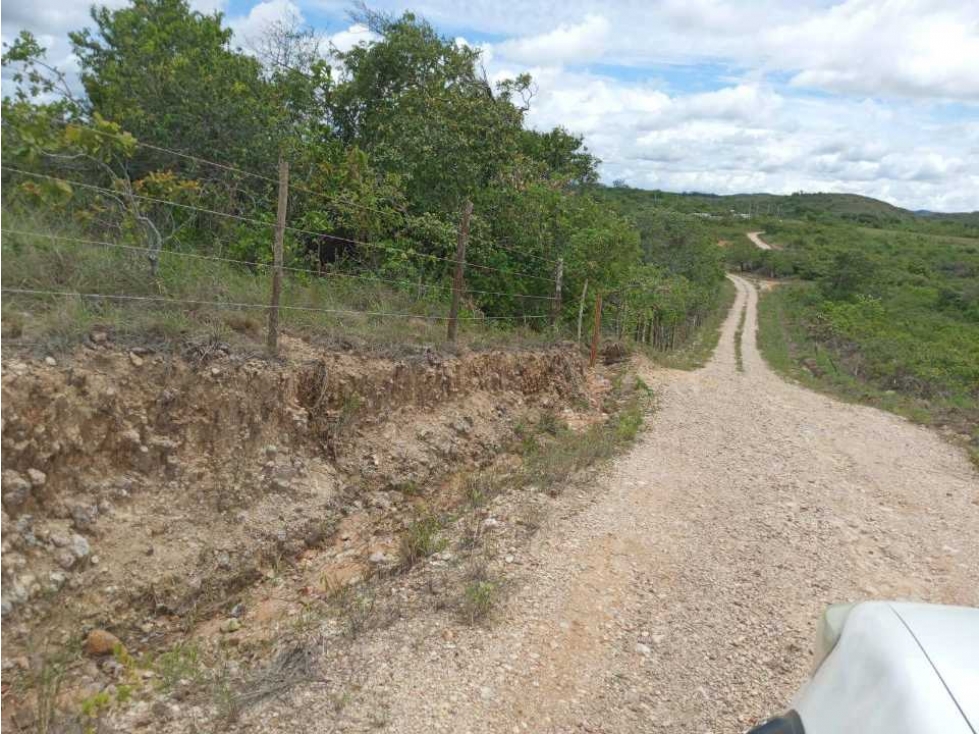 20 HECTAREAS DE TERRENO A POCOS MINUTOS DEL VALLE DE ANTÓN - 2