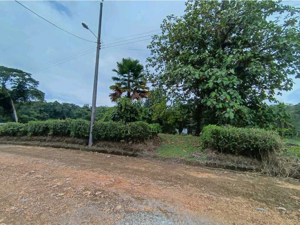 24mil lote en venta Pedro Vicente dentro de Urbanizació con servicios - 3