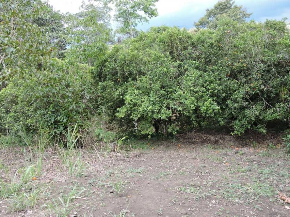 Venta 2 Hectáreas en La Mesa Cundi - 2