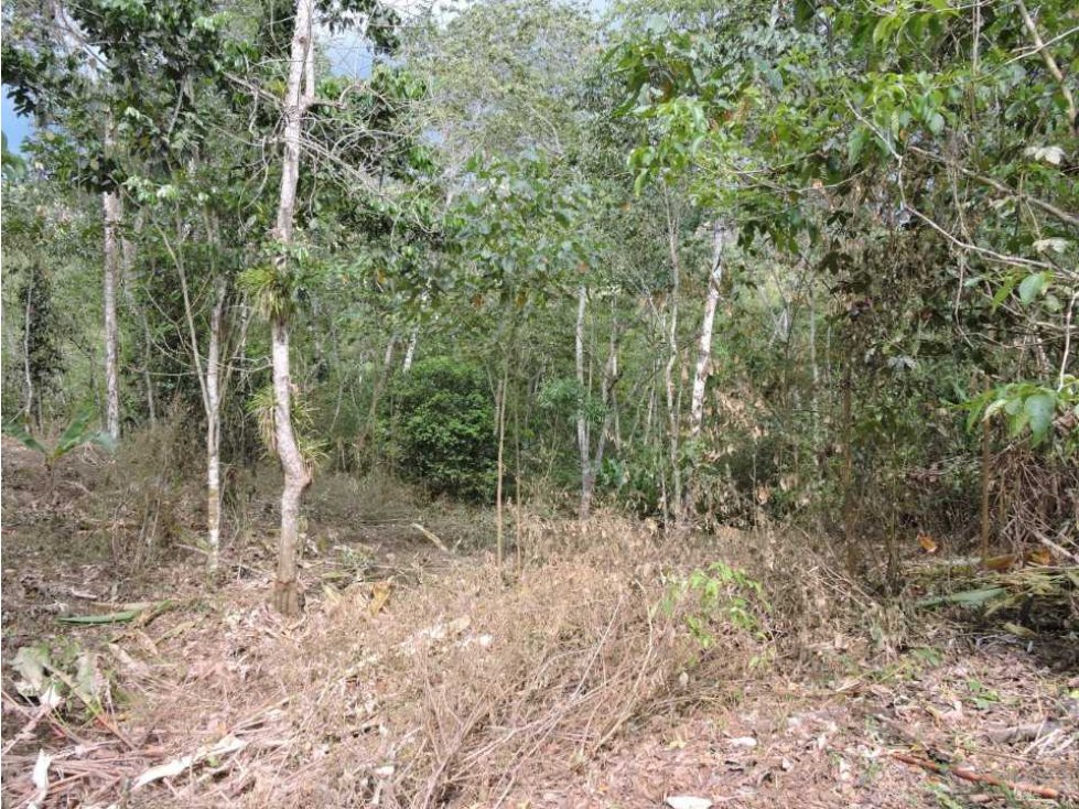 Venta 2 Hectáreas en La Mesa Cundi - 6