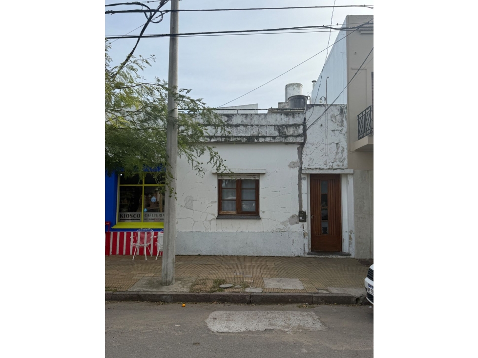 2 Locales + Casa y Depto. Frente a Pza.Italia....Unico!!! - 2