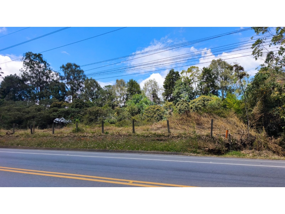 3.000m2 lote para arriendo Rionegro - Aeropuerto — foto 4