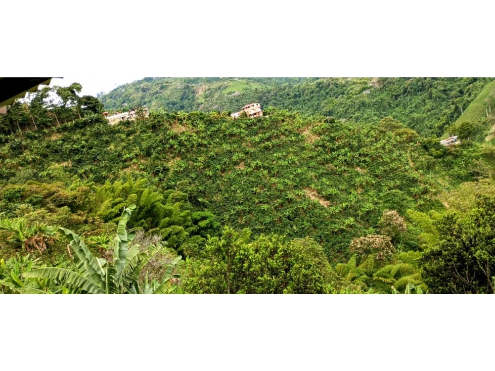 $350.000.000 COP? ¡Finca Productiva en Venta Quiebra de Vélez — foto 4