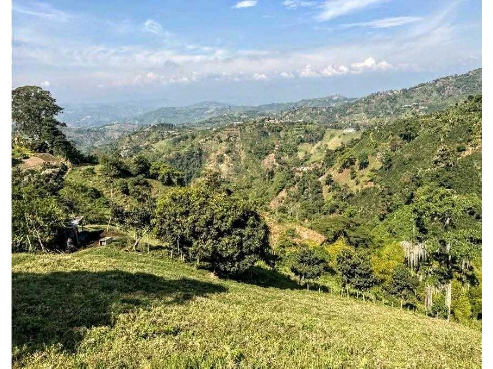 $370.000.000? Lote en Venta Vereda La Aurora, Manizales