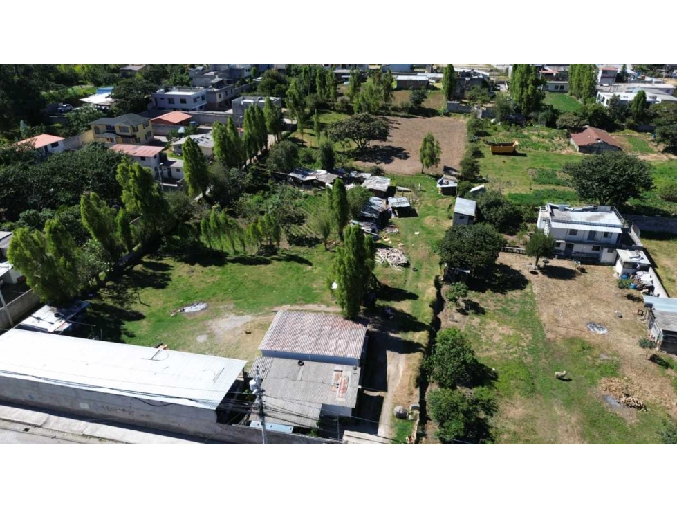 4000m2 Renta Terreno en La Tola Chica Tumbaco, agrícola o comercial - 5