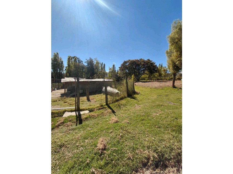 4000m2 Renta Terreno en La Tola Chica Tumbaco, agrícola o comercial - 6