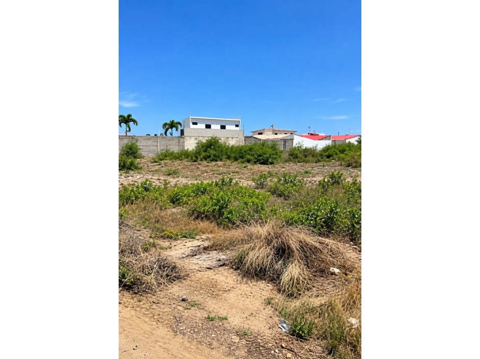 5000m2 al pie de la carretera Via Punta Carnero — foto 2