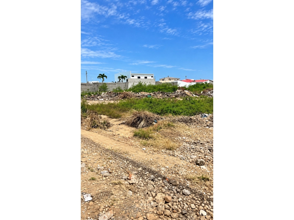 5000m2 al pie de la carretera Via Punta Carnero — foto 5