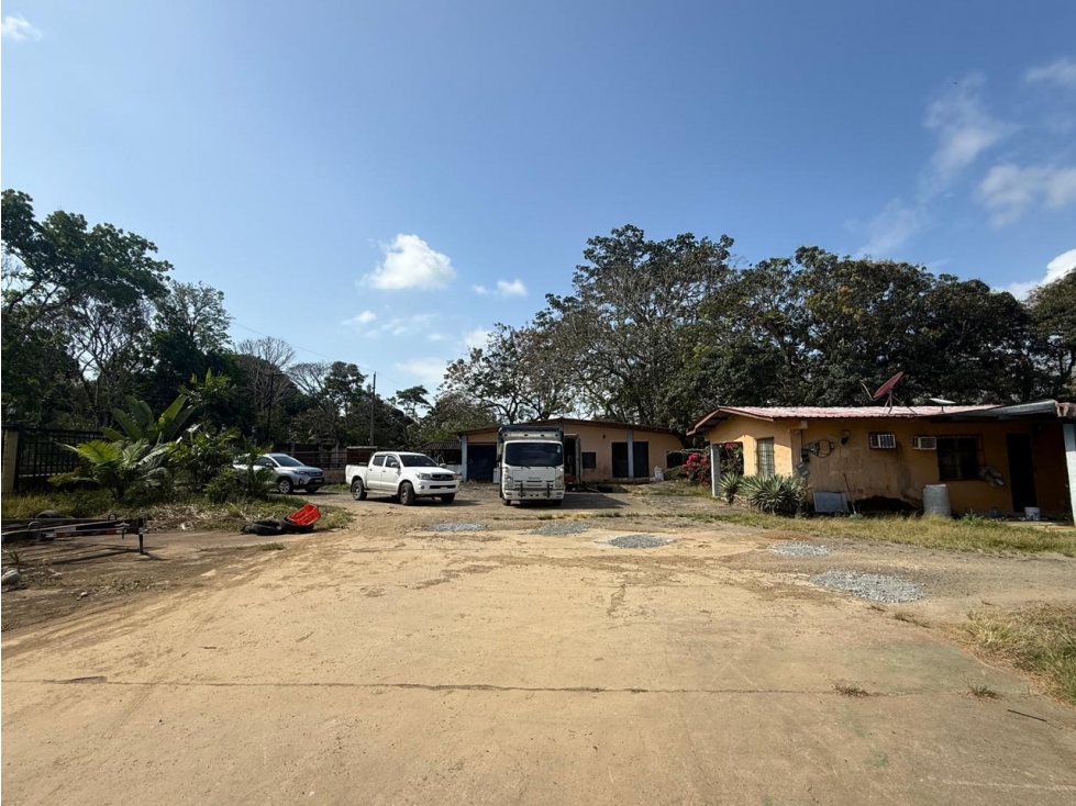 50-Hectare Agricultural Estate in Colón - 5