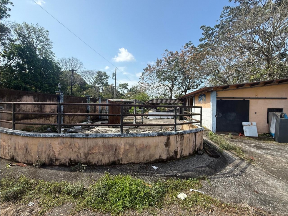 50-Hectare Agricultural Estate in Colón - 6