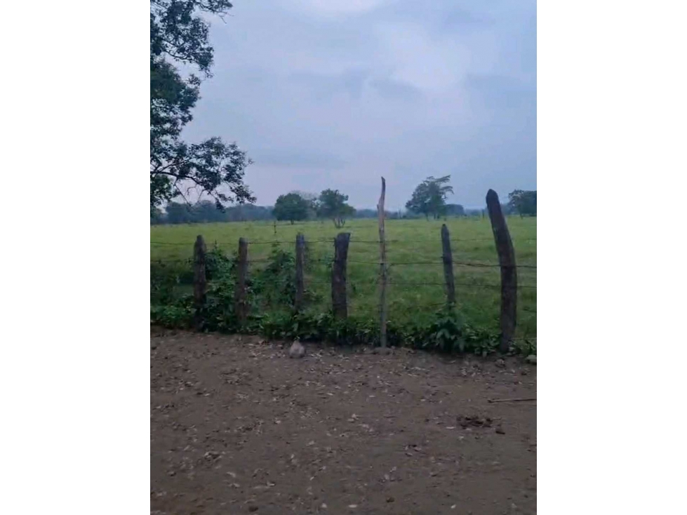 70 hectareas El cedro, Nacajuca - 2