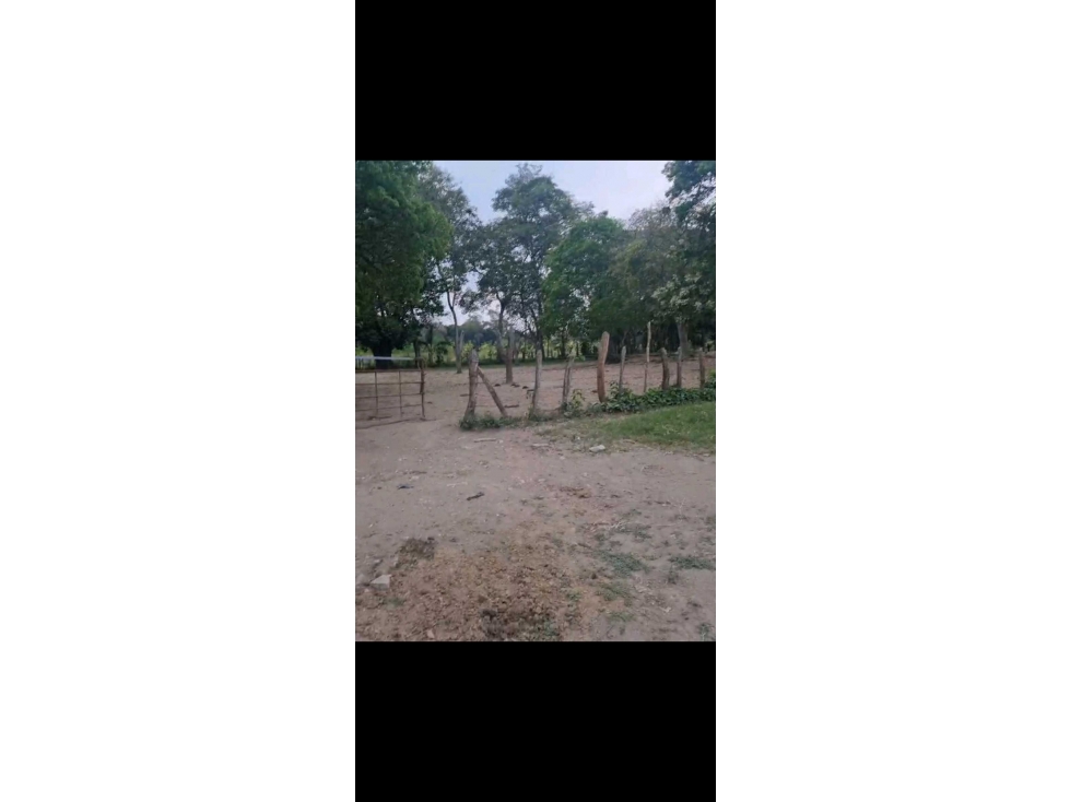 70 hectareas El cedro, Nacajuca - 3