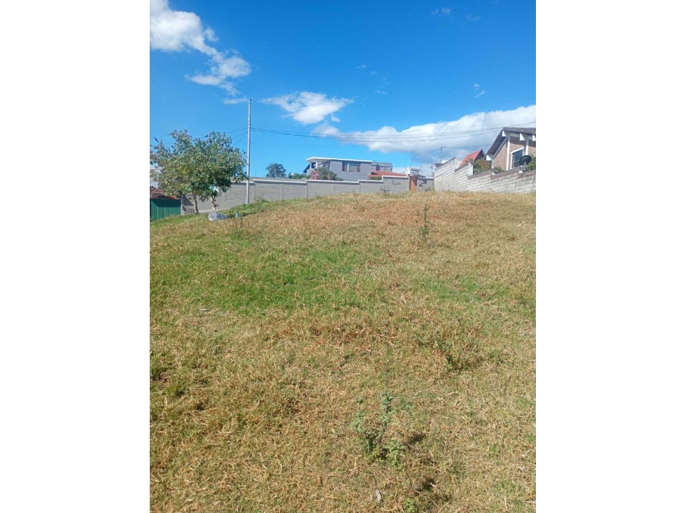 640mil Venta Terreno plano, Tumbaco 6300m2 acceso a vias